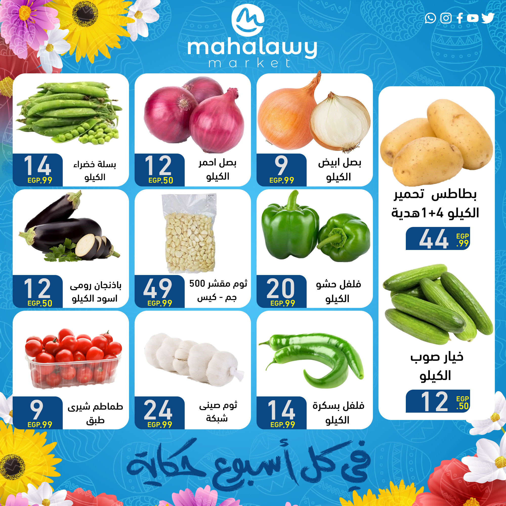 el-mahallawy-sons offers from 9apr to 1apr 2025 عروض اولاد المحلاوى من 9 إبريل حتى 1 إبريل 2025 صفحة رقم 16